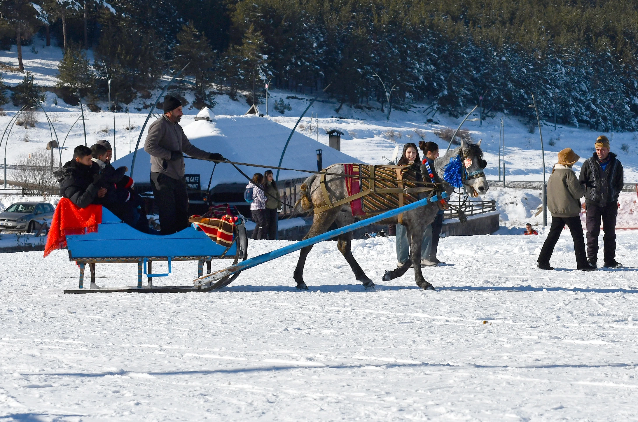 Kars’ın Sarıkamış ilçesinde kayak sezonunun başlamasıyla birlikte atlı kızakçılar, yerli