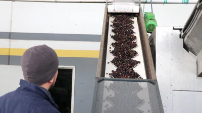 Ticaret Bakanlığı destekli “OlivetoLive” projesiyle zeytin ve zeytinyağı sektöründeki firmaların