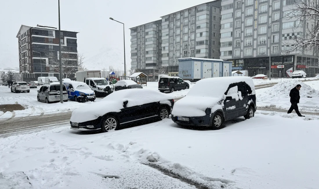 Doğu Anadolu’da etkili olan kar yağışı, 423 yerleşim yerinin yolunu