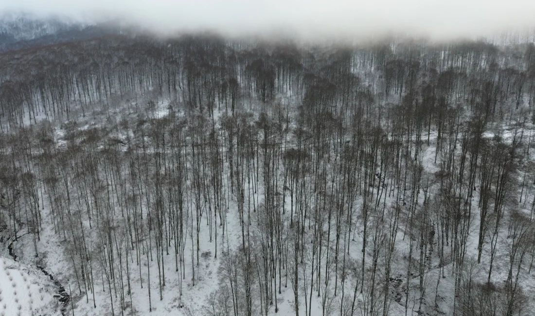 Samsun ve Kayseri’nin Yüksek Kesimleri Karla Beyaza Büründü Samsun’un yüksek kesimlerine mevsimin ilk karı düşerken, Kayseri Hacılar’da rengarenk