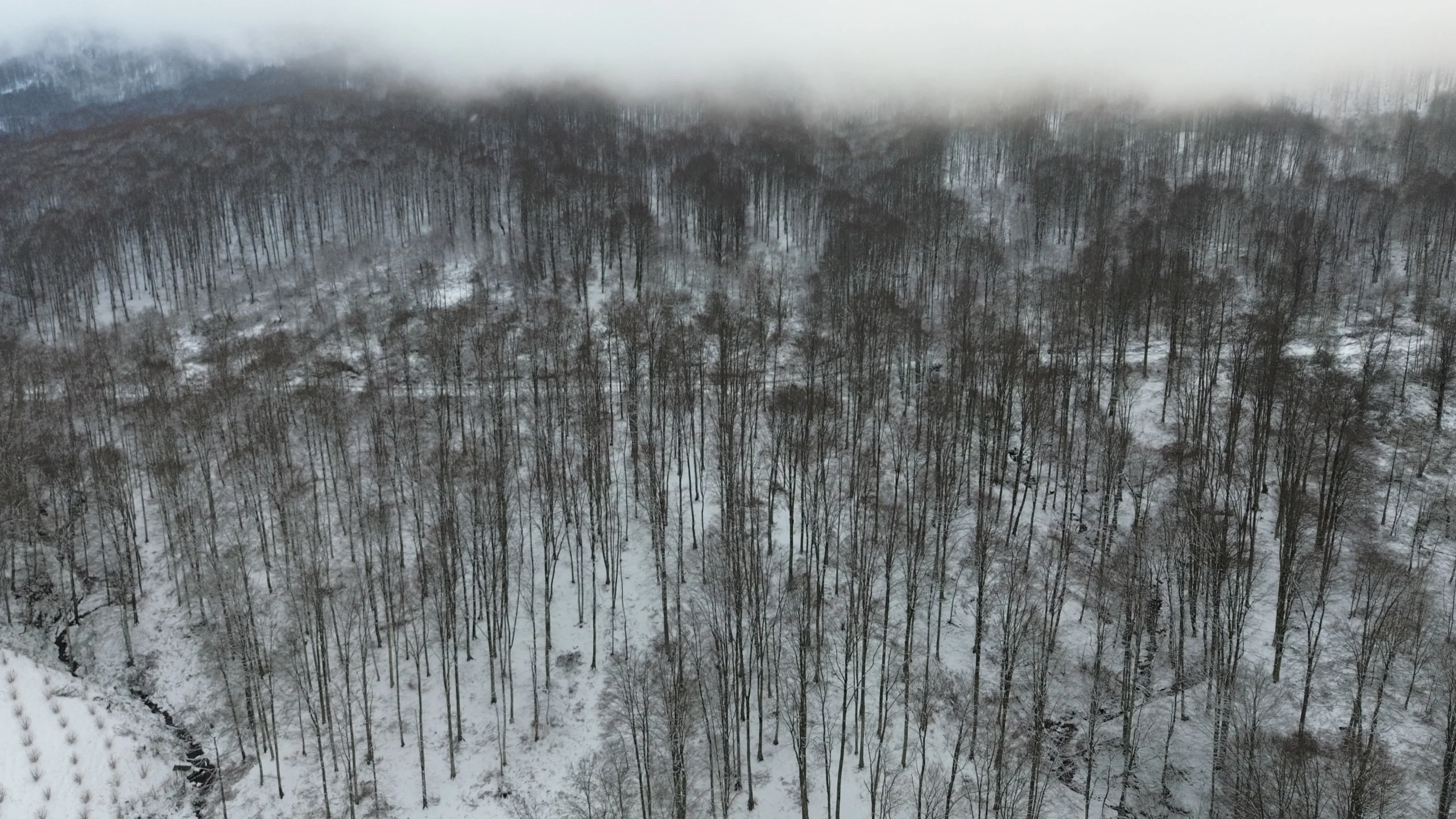 Samsun’un yüksek kesimlerine mevsimin ilk karı düşerken, Kayseri Hacılar’da rengarenk