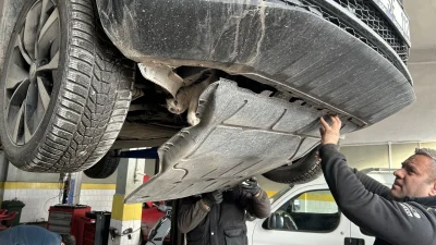 Bilecik’te park halindeki bir otomobilin motor bölümüne giren kedi, vatandaşların