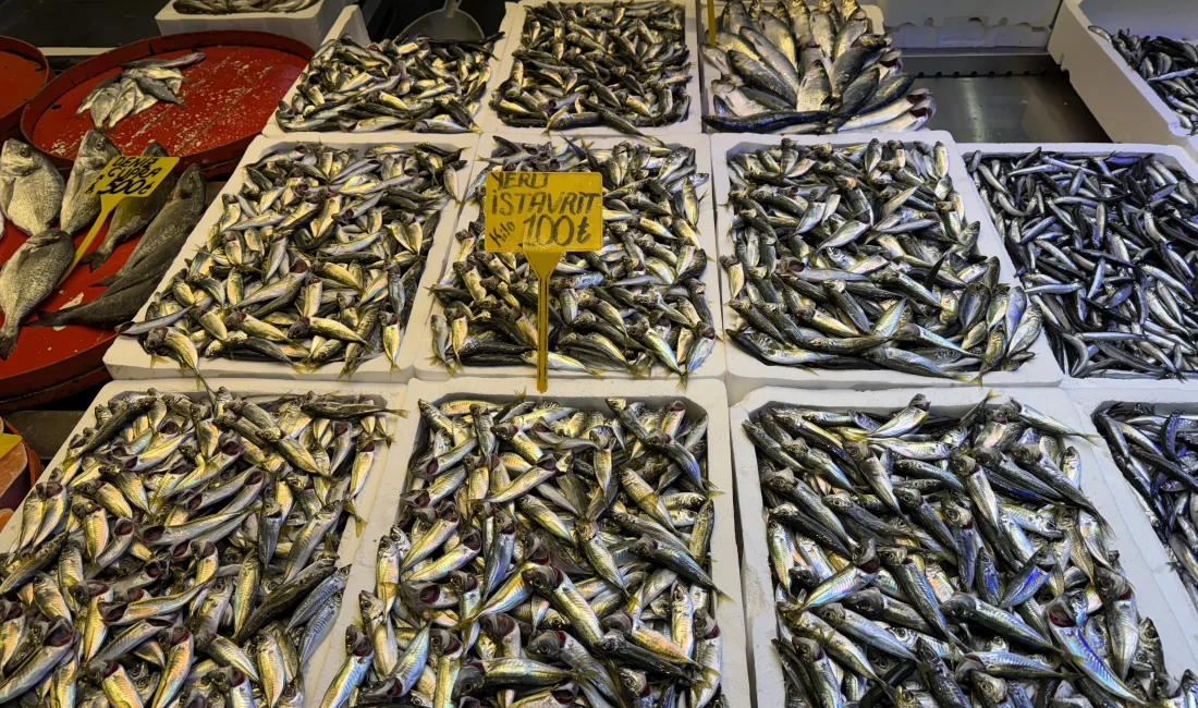 Trabzon’da balıkçı tezgahlarında hamsi ve istavrit uygun fiyatlarıyla vatandaşların ilgisini