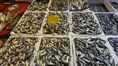 Trabzon’da balıkçı tezgahlarında hamsi ve istavrit uygun fiyatlarıyla vatandaşların ilgisini