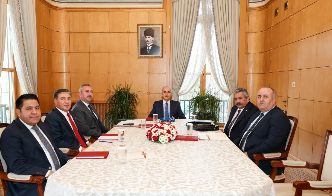 TBMM Başkanı Numan Kurtulmuş, Milli Dayanışma, Kardeşlik ve Demokrasi Komisyonu