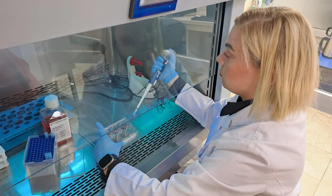 Sakarya Uygulamalı Bilimler Üniversitesi’nde doktora öğrencisi Özge Özten’in geliştirdiği bor