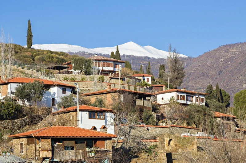 TÜİK’in 2025 nüfus verileri, deprem sonrası geri dönüşlerin etkisini ortaya