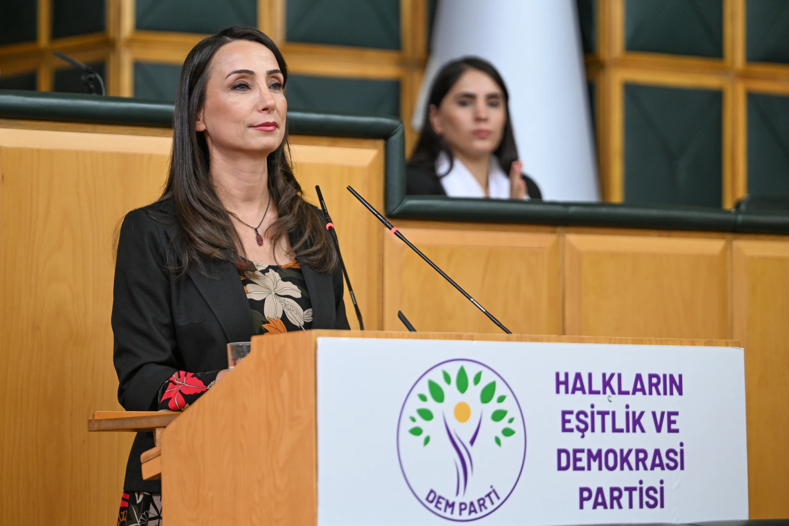 DEM Parti Eş Genel Başkanı Tülay Hatimoğulları, TBMM’de yaptığı konuşmada