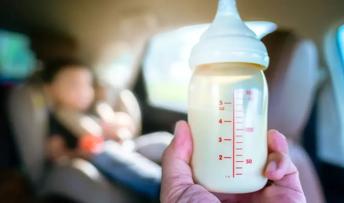 Avrupa Birliği, bebek mamalarında tespit edilen cereulide toksiniyle ilgili güvenlik