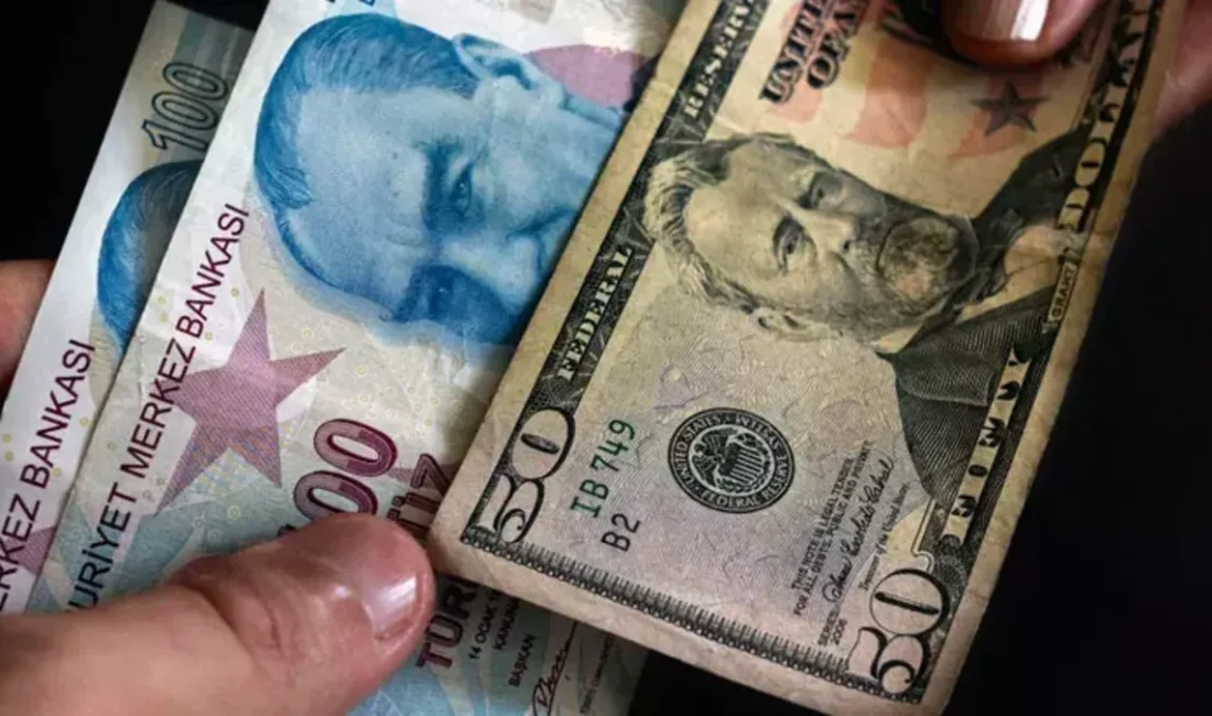 Reel efektif döviz kuru endeksi, ocak ayında TÜFE bazında artış